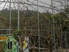 -南丹山森林王国