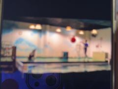 -嘉兴海底世界