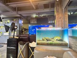 -青木造型HAIR·あおき髪を刈る潮人店