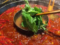 -蜀大侠火锅(寰球文化地标·总府店)