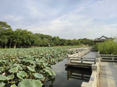 -海珠湖公园
