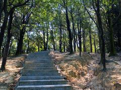 -火炉山森林公园