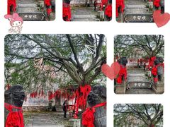 -呈坎景区
