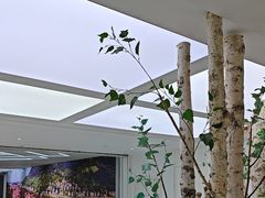 -极简口腔(总院)