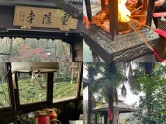 -野蔓果·山野菜(西湖景区·龙井茶田店)