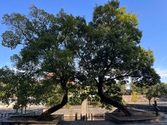 -冶父山国家森林公园