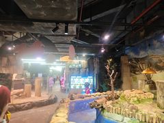-正佳雨林生态植物园