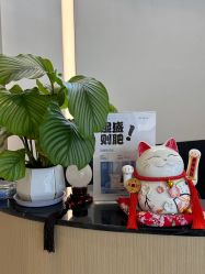 -Fundi张玉珊修身堂·indiba·BTL科技瘦身