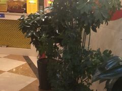 -五号足道休闲养生馆(新街小区店)