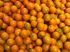 金:桔-白沙农贸综合市场