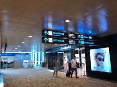 -Bengawan Solo(Changi Airport Terminal 2)