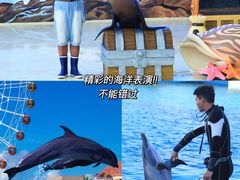 -三亚海昌梦幻海洋不夜城