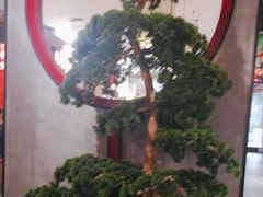 -舞虾小说.涮肉.烧烤(国顺东路店)