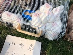 -秦美花卉(天朗·莱茵小城2期店)