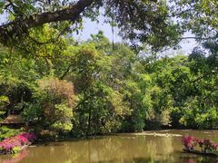 -中国科学院西双版纳热带植物园