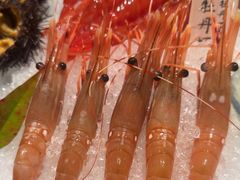 -上井料理黑金店(IFS国金中心店)