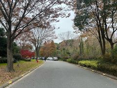 -上海怡沁园度假酒店