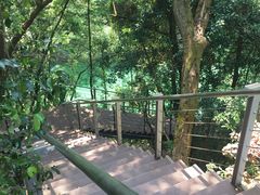-广州市流溪河国家森林公园