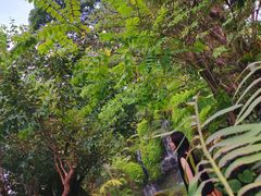 -Chom Cafe and Restaurant