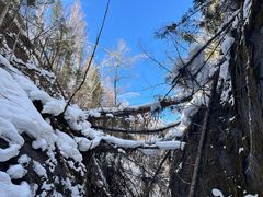 -峡谷浮石林景区