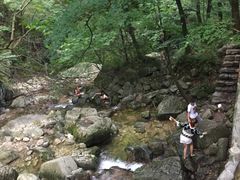 -牛背梁国家森林公园