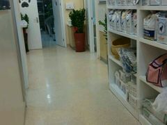 -芭比堂动物医院·24小时·眼科中心(深圳中心)