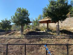 -石家庄市动物园