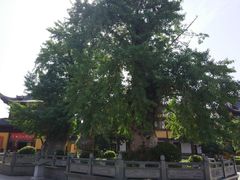 -圆通寺