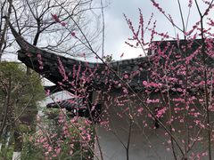 -杭州半山国家森林公园