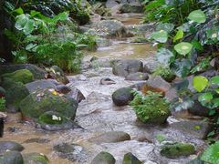 -七仙岭君澜度假酒店·桃源小馆中餐厅