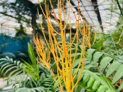 -石家庄市植物园