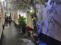 -盘子女人坊生日照·摄影馆(华强店)