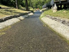 -白水寺森林公园