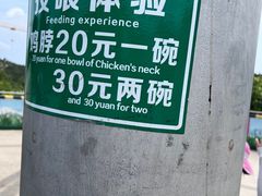 -西霞口神雕山野生动物世界