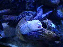 -成都浩海立方海洋公园