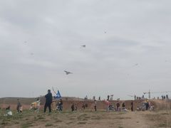-白鹭湾湿地公园