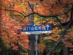 -关门山森林公园