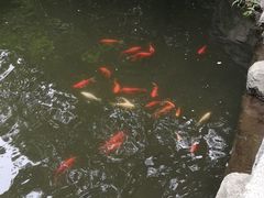 -天津盘山风景名胜区