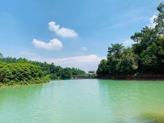 -广州白江湖森林公园