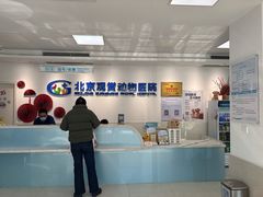 -北京观赏动物医院·24小时大型综合·猫专科·异宠专科