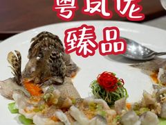 -粤凤佬·臻品(朝阳公园店)