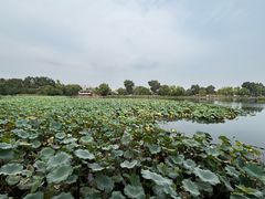 -郭守敬纪念馆