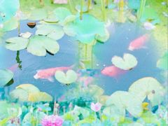 -庐山风景区花径公园