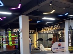 -Super Sy泰拳格斗