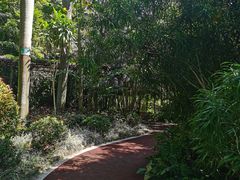 -广东茂名森林公园