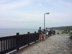 iphone_upload_pic-原野牧场