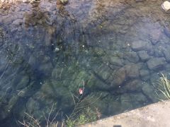 -宁波五龙潭景区