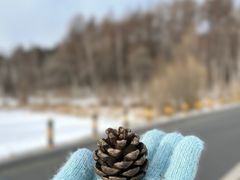 -长春净月潭风景名胜区