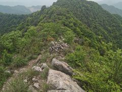 -午潮山国家森林公园
