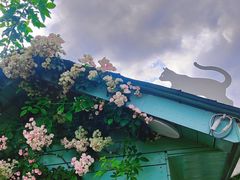 -猫米花园